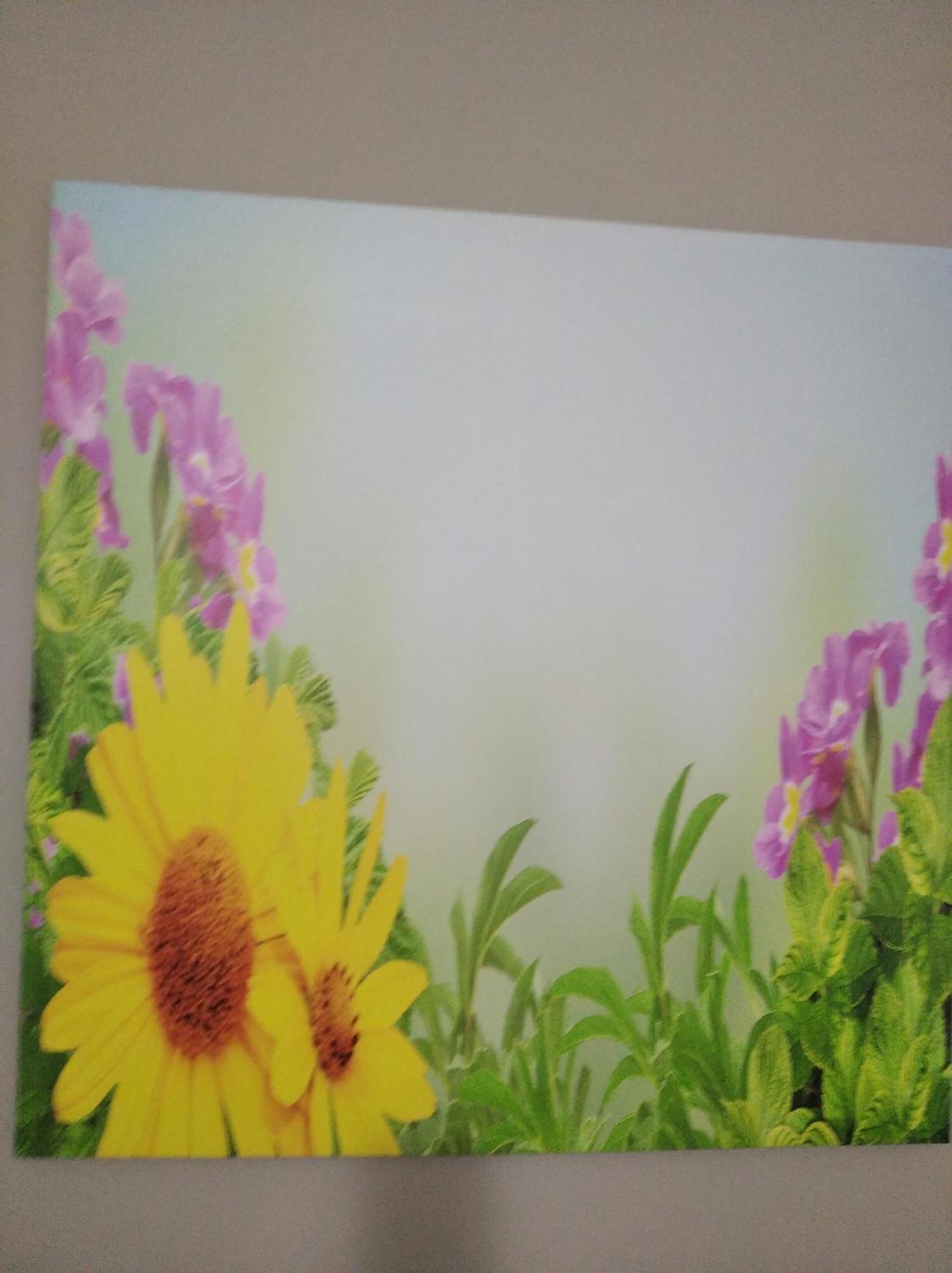 Roccadaspide Agriturismo B&B Il Girasole מראה חיצוני תמונה